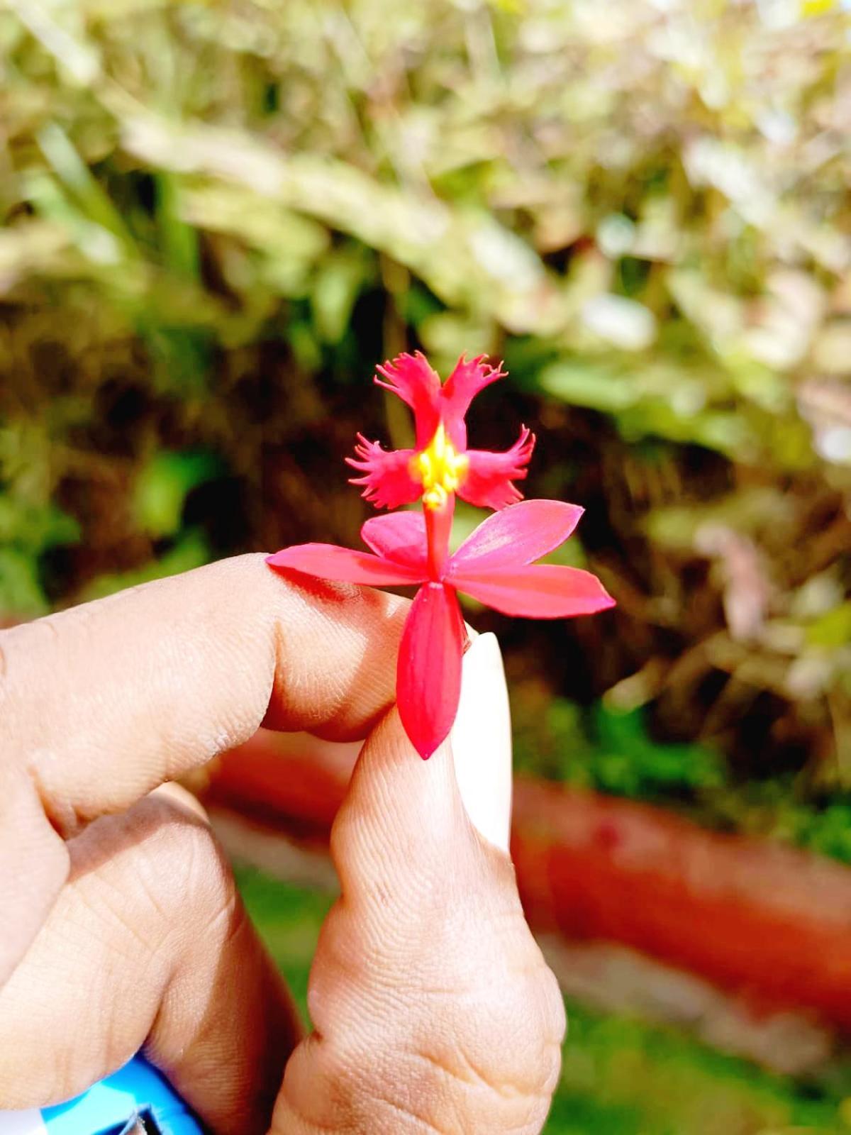 Kodai Riya Paradise كوديكانال المظهر الخارجي الصورة